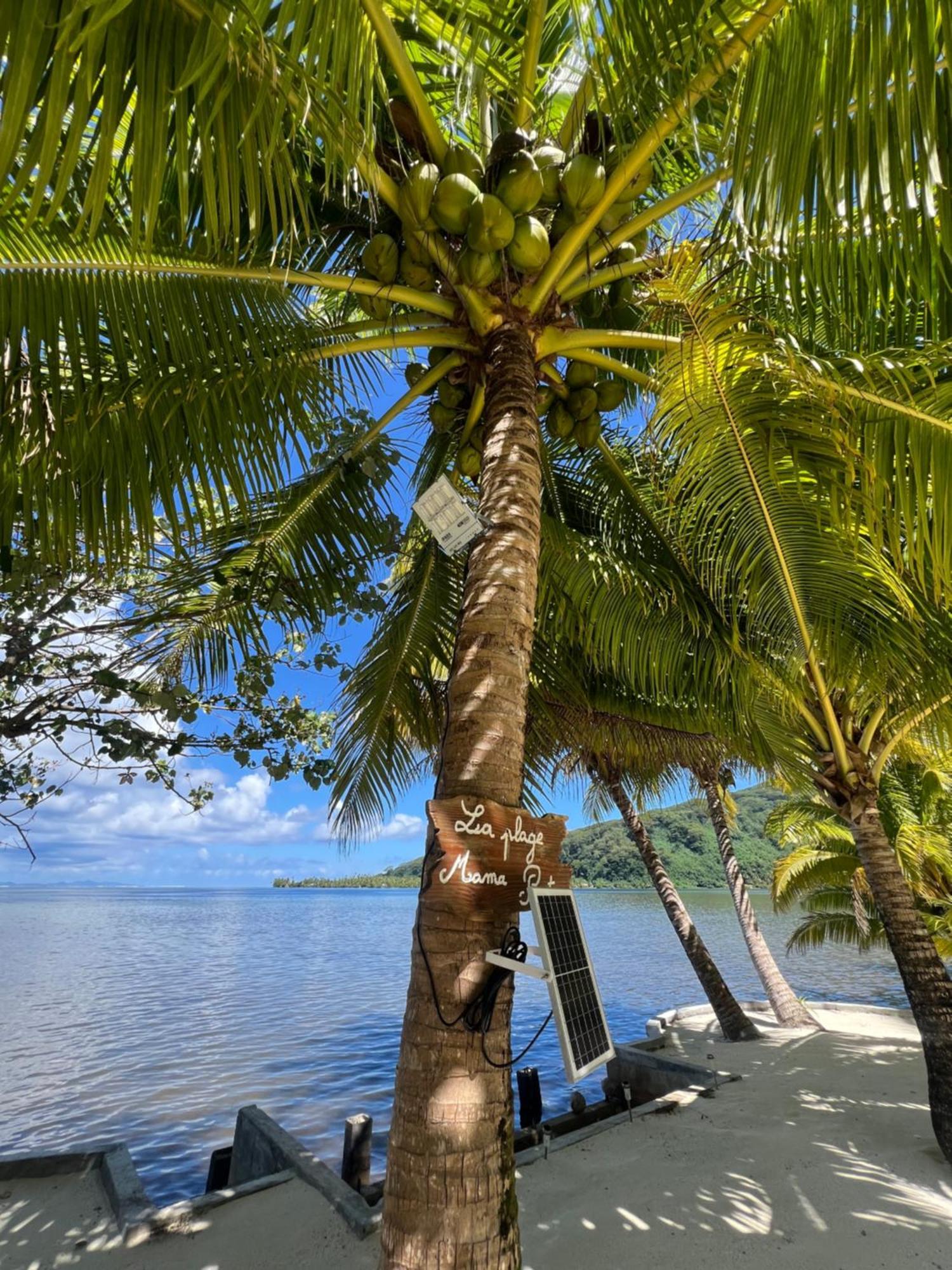Fare Mama Rota - Au Bord De L'Ocean Villa Taputapuapea Eksteriør billede