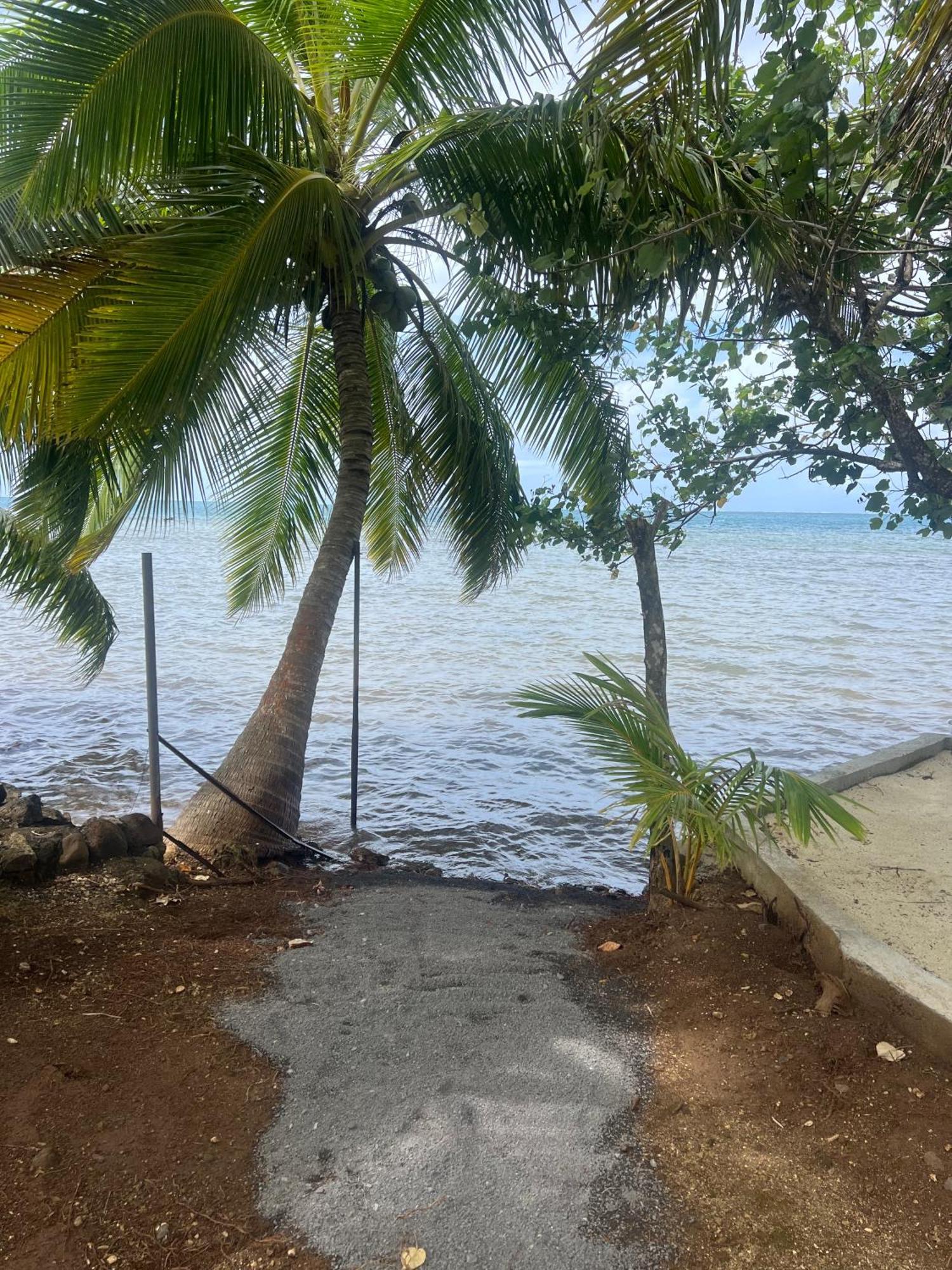 Fare Mama Rota - Au Bord De L'Ocean Villa Taputapuapea Eksteriør billede